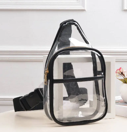 Clear Mini Crossbody Bag - Black